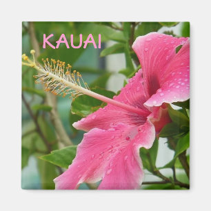 Aimant Hibiscus des fleurs tropicales hawaïennes de Kauai