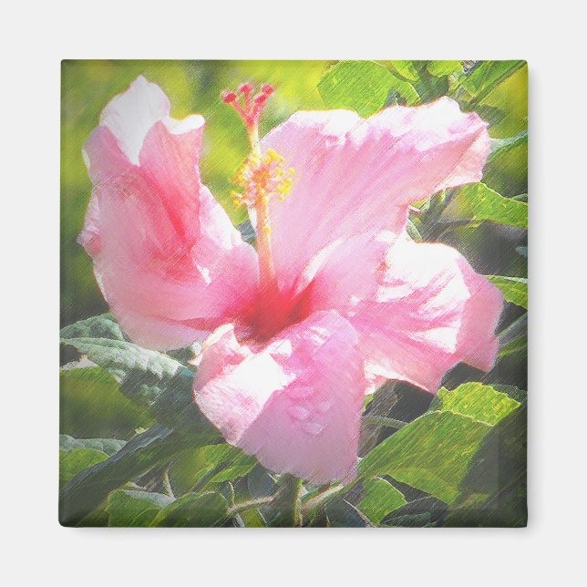 Aimant Hibiscus rose (Devant)