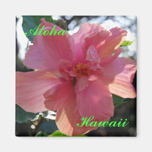 Aimant Hibiscus rose à Hawaii