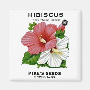 Aimant Hibiscus Vintage Seed Packet