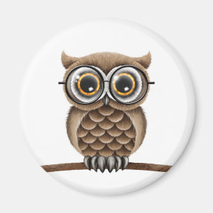 Aimant Hibou Brown pelucheux mignon avec des verres de