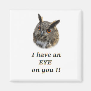 Aimant hibou cool