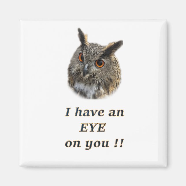 Aimant hibou cool (Devant)