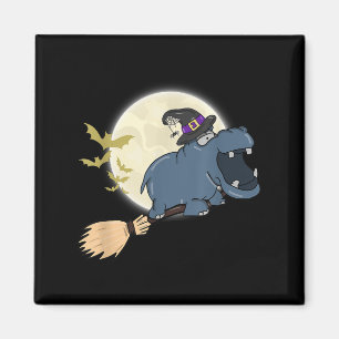 Aimant Hippo Sorcière Casquette équitation Broom Stick Zo