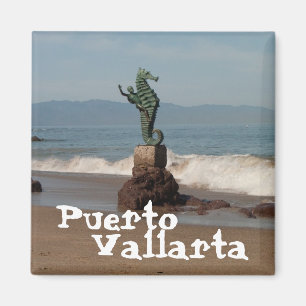 Aimant Hippocampe hors de l'eau ; Souvenir du Mexique