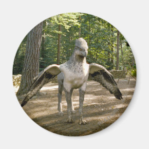 Aimant Hippogriff
