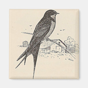 Aimant Hirondelle à la grange