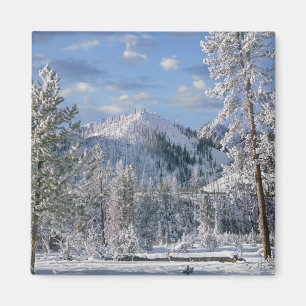 Aimant Hiver dans le parc national de Yellowstone, Wyomin