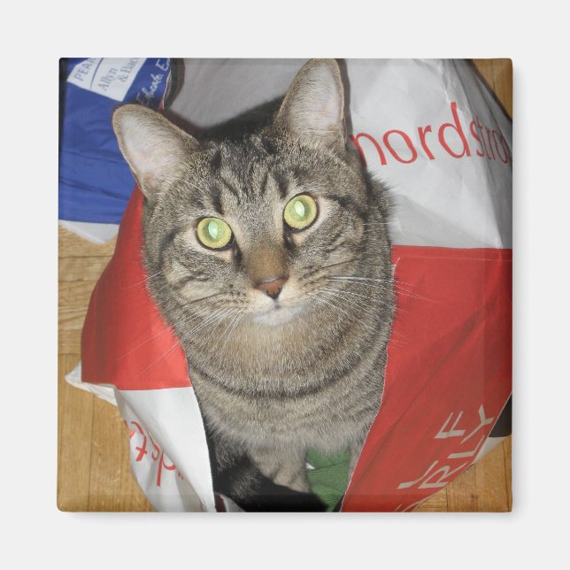 Aimant Hobbes (Devant)