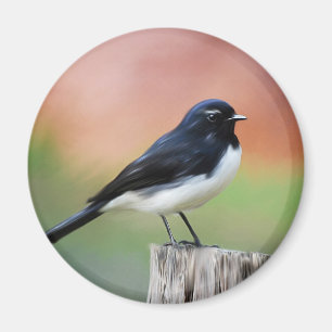 Aimant Hochequeue de Willy - art australien d'oiseau