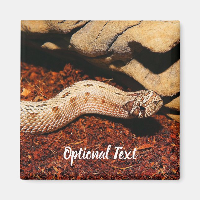 Aimant Hognose Pet Snack (Devant)