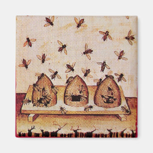 AIMANT HONEY BEE, BEEKEEPER