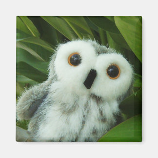 Aimant Hoot Hoot !