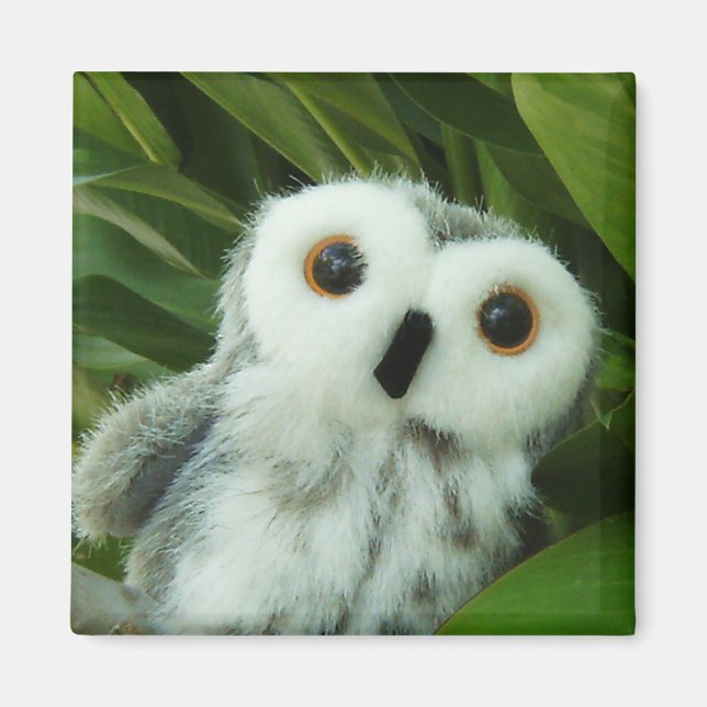 Aimant Hoot Hoot ! (Devant)