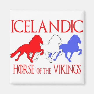 Aimant horseofthevikings2019