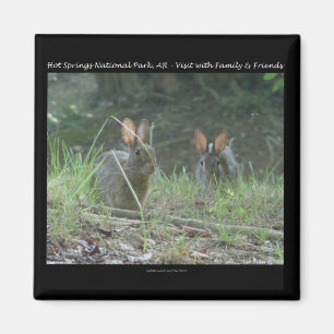 Aimant Hot Springs National Park, AR  Cadeaux de Lapins S