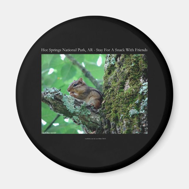 Aimant Hot Springs National Park, AR Chipmunk Snack Gifts (Devant)