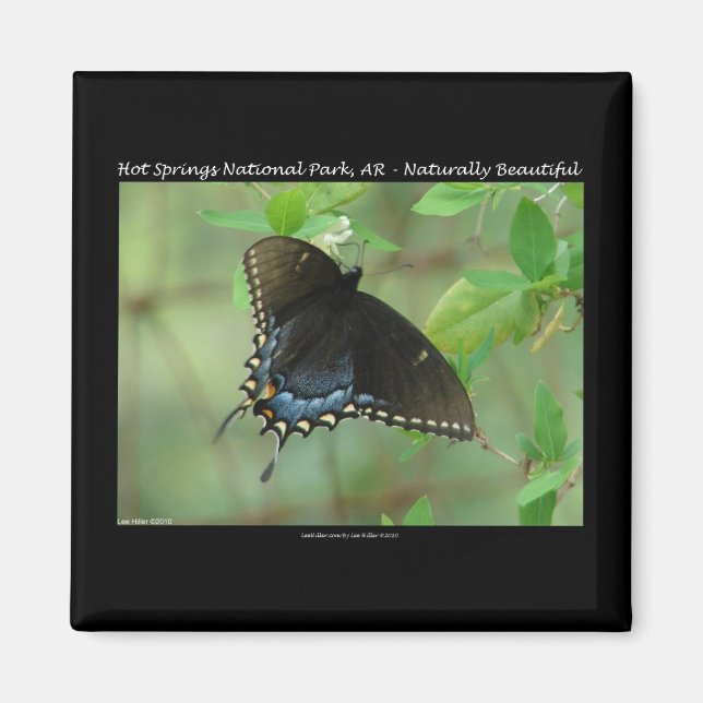 Aimant Hot Springs National Park Swallowtail Butterfly (Devant)