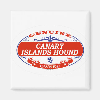 Aimant Hound des îles Canaries