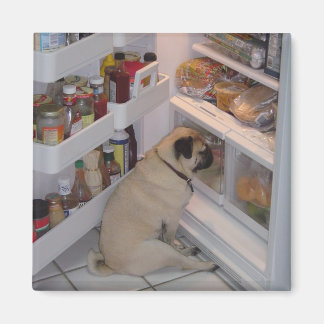 Aimant Howie Pee Pugpants