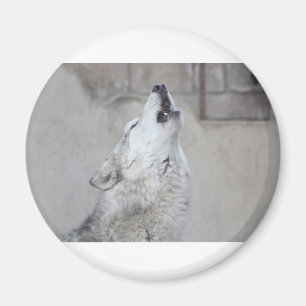 Aimant Howling Wolf