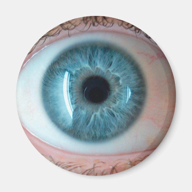 Aimant humain (Devant)