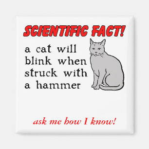 Aimant Humour magnétique amusant du marteau de chat