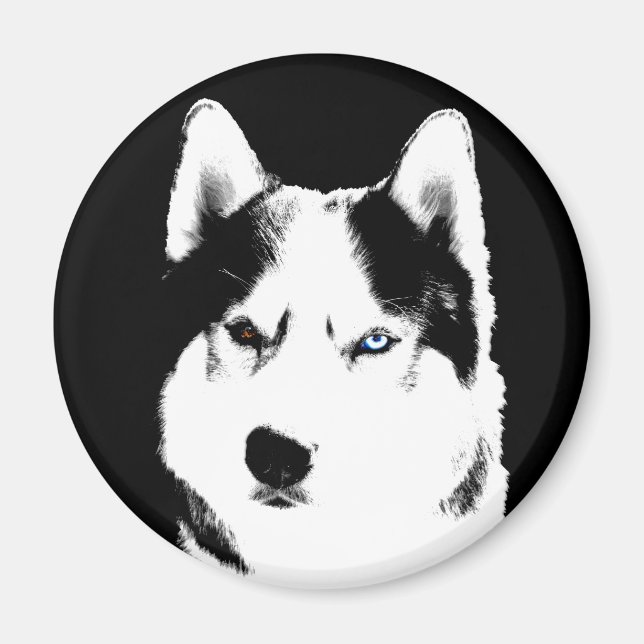 Aimant Husky Fridge Magnet Alaskan Sled Dog Magnet (Devant)