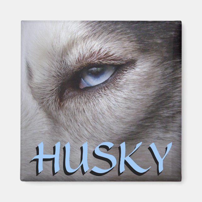 Aimant Husky Fridge Magnet Alaskan Sled Dog Magnet (Devant)