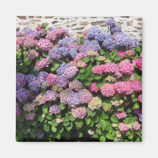 Aimant Hydrangea