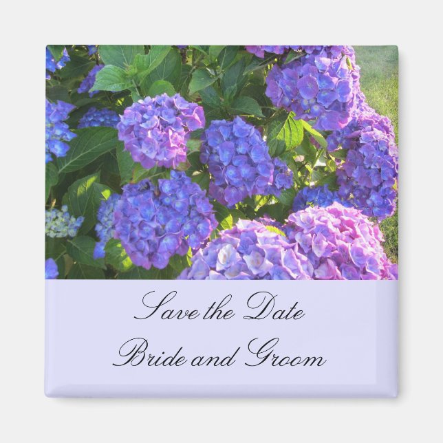 Aimant Hydrangeas bleues et violettes (Devant)