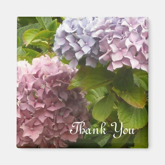 Aimant Hydrangeas Merci (Devant)