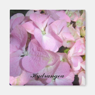 Aimant Hydrangée rose bébé