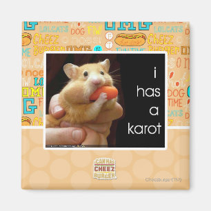 Aimant I a un karot