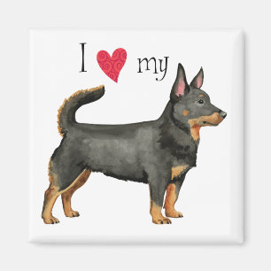 Aimant I Love my Lancashire Heeler