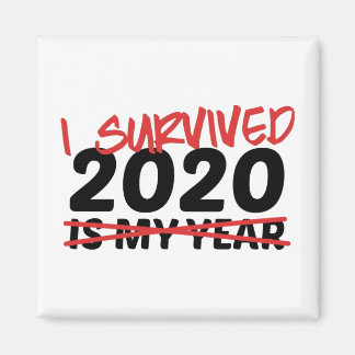 Aimant I Survived 2020