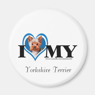 Aimant I Terrier-Bleu-Aimant de Yorkshire de coeur