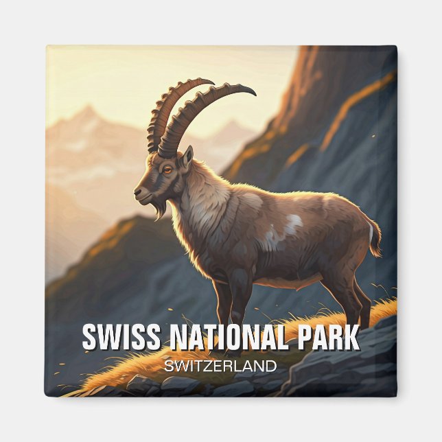 Aimant Ibex dans le Parc national suisse Suisse (Devant)