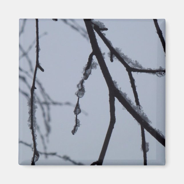 Aimant Icy Branches Winter Nature Photographie (Devant)