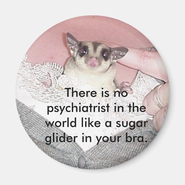 Aimant Il n'y a pas de psychiatre dans... (Devant)