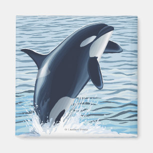 Aimant Île de Whidbey, sauter de WashingtonOrca