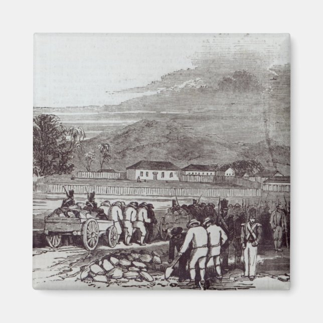 Aimant Île Norfolk (Devant)