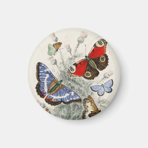 Aimant Illustration botanique scientifique vintage papill
