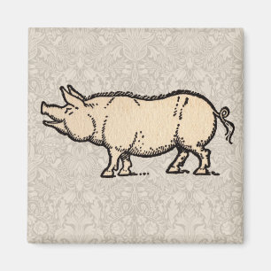Aimant Illustration de cochon antique mignon vintage