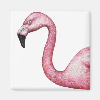 Aimant Illustration de Flamant rose rose vif
