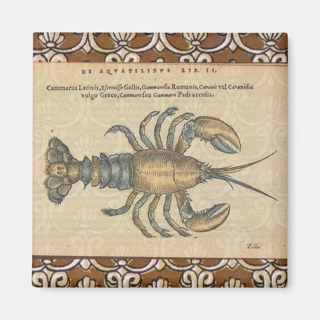 Aimant Illustration de homard, fruits de mer du Maine (Devant)