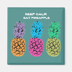 Aimant Illustration de la conception d'ananas