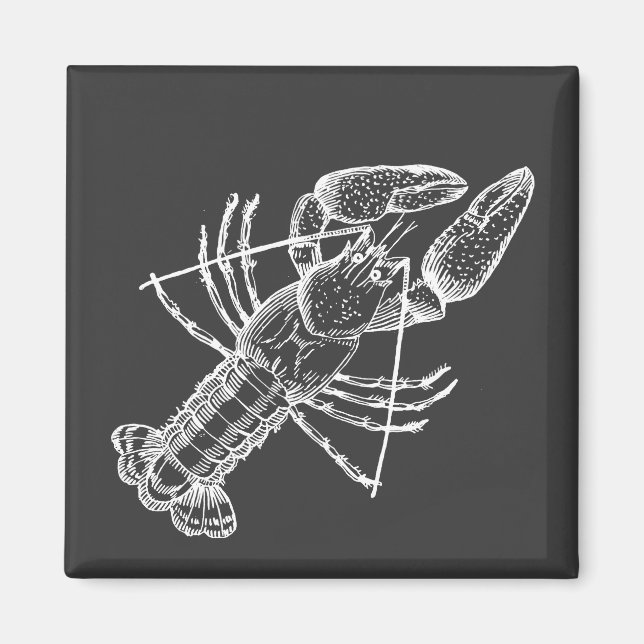 Aimant Illustration de l'écrevisse blanche sur noir (Devant)