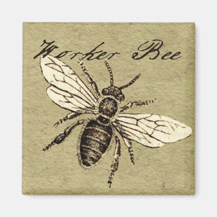 Aimant Illustration de l'insecte d'abeille vintage