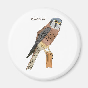 Aimant Illustration d'oiseau américain Kestrel